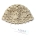 CAPPELLINO CROCHET