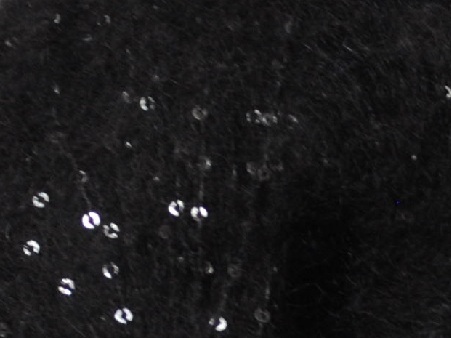 SCINTILLA - immagine 5